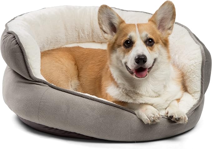 best friends by sheri pet throne gray jumbo round orthopedic cat and dog best friends by sheri pet throne gray jumbo round orthopedic cat and dog